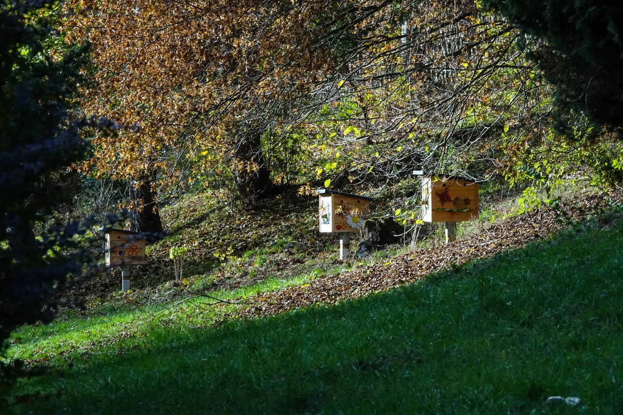 aufgestellte Hummelnistkästen