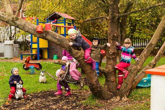 Haselmäuse klettern auf einen Baum