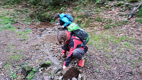 Die DRK Bergwacht Kids bei der Kräuterwanderung