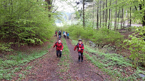 Die DRK Bergwacht Kids bei der Kräuterwanderung